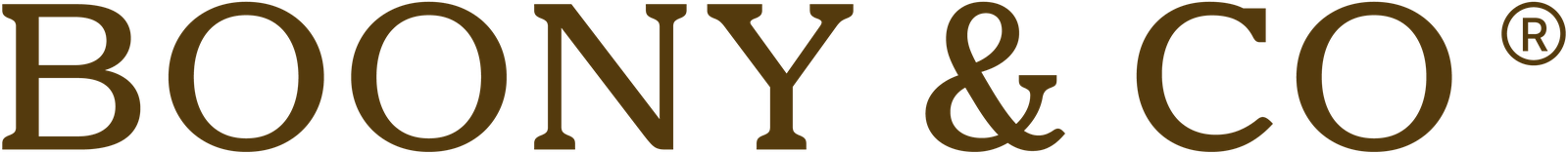 The Boony & Co logo