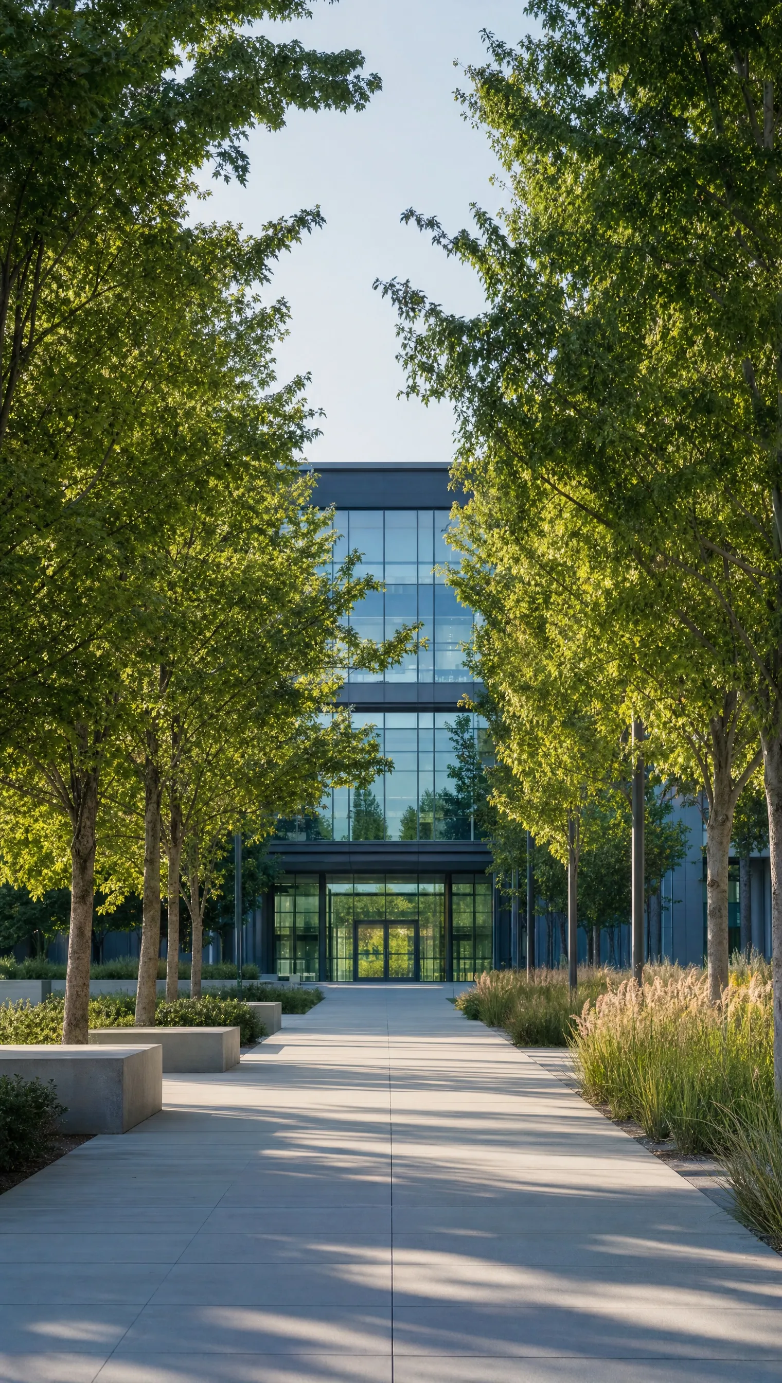 A tree-lined campus walkway leading to a glass building